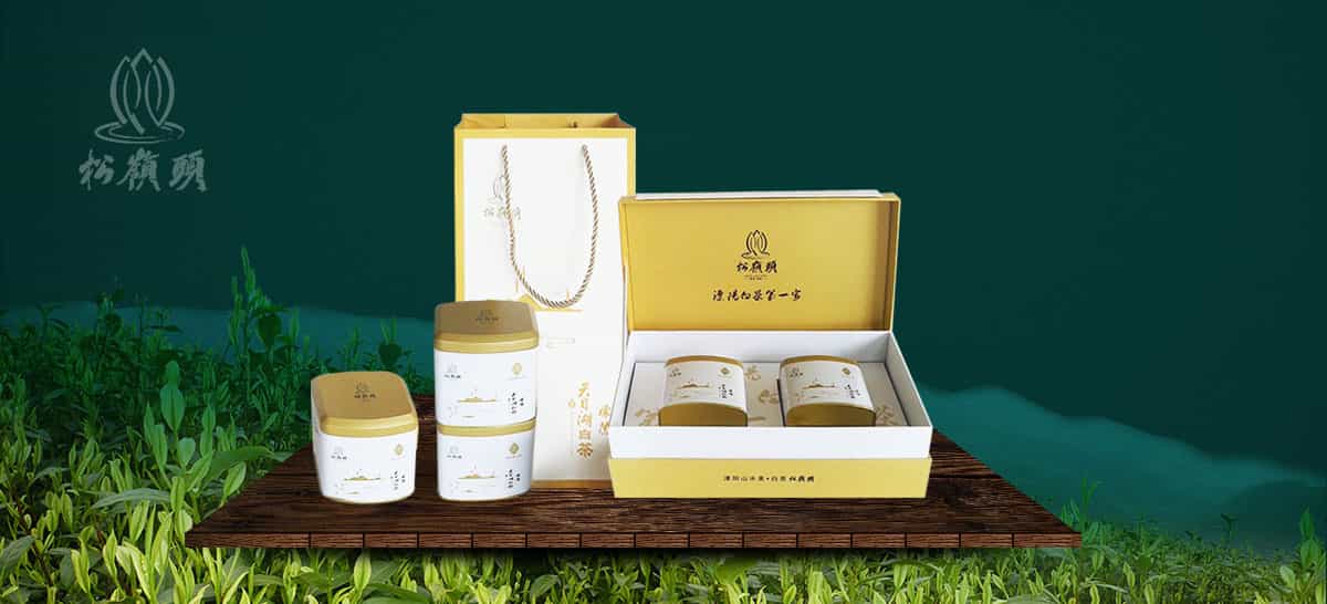 天目湖松嶺頭白茶-慧品