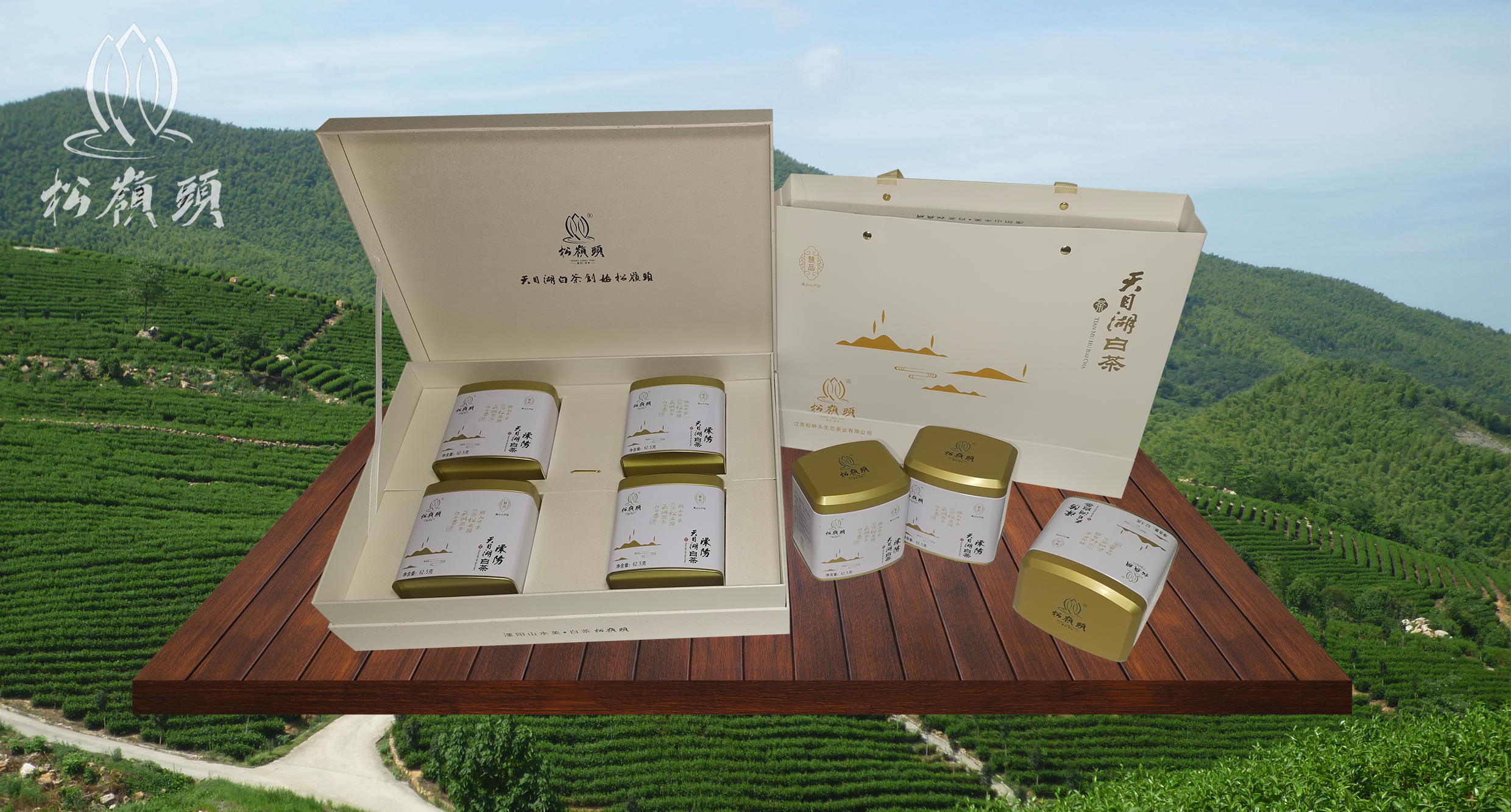 天目湖松嶺頭白茶-慧品